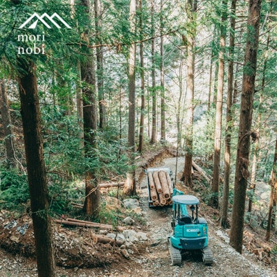 森のめぐみをてのひらに下北山の森でつくる「小さな杉玉」体験