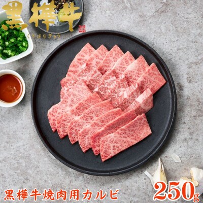 くまもと黒毛和牛 黒樺牛 A4～A5等級 牛肉カルビ 250g×1【杉本本店】(人吉市)
