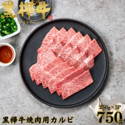 くまもと黒毛和牛 黒樺牛 A4～A5等級 牛肉カルビ 750g(250g×3)【杉本本店】(人吉市)