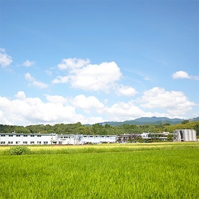 「2020年3月下旬発送」本格米焼酎「白岳しろ」720ml　6本セット