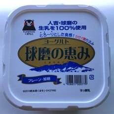 球磨の恵みヨーグルト　1kg入り×4パック