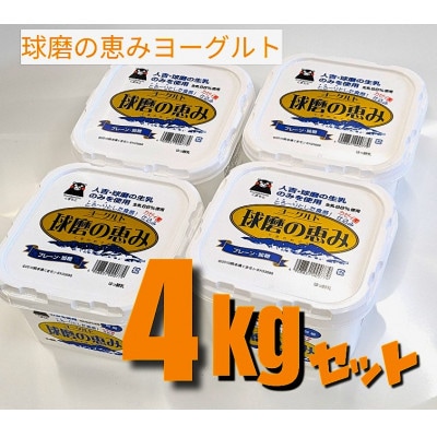 球磨の恵みヨーグルト(加糖)4kgセット