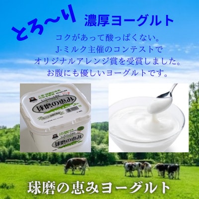 球磨の恵みヨーグルト　砂糖不使用　1kg入り×6パック
