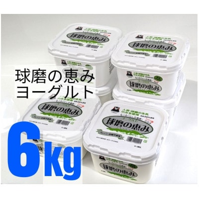球磨の恵みヨーグルト　砂糖不使用　1kg入り×6パック