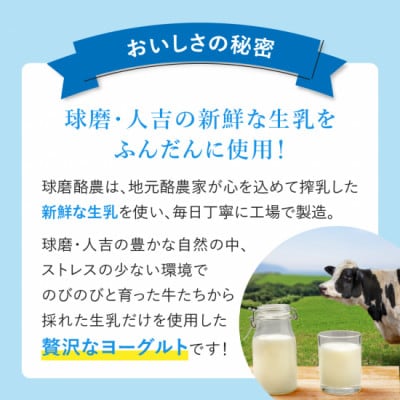 球磨の恵み　のむヨーグルト16本セット