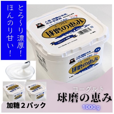 球磨の恵みヨーグルト(加糖)2kgセット