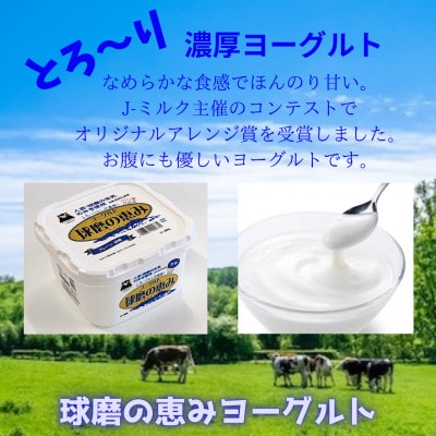 球磨の恵みヨーグルト(加糖)2kgセット