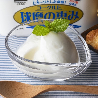 球磨の恵みヨーグルト(加糖)　3kgセット