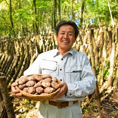 熊本県人吉市産　原木栽培椎茸「家庭用どんこ」400g