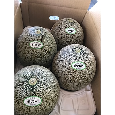 【5月下旬発送】小さな農園の幸せ熊本 メロン 『環』(たまき) 約5kg