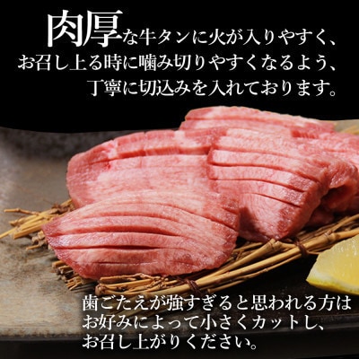 食べ応え十分!味付け塩 厚切り牛タン3.0kg(500g×6パック)(人吉市)