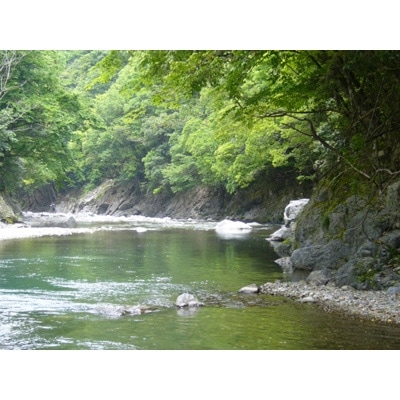限定川辺・葦分セット