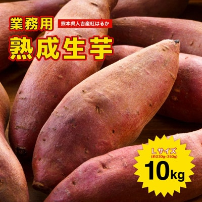 紅はるか 熟成生芋10kg Lサイズ 業務用
