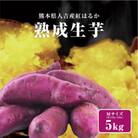 紅はるか 熟成生芋5kg Mサイズ
