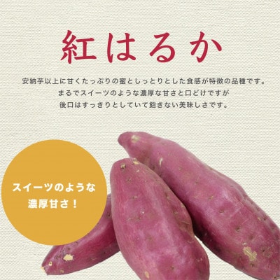 紅はるか 熟成生芋5kg Mサイズ