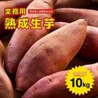 紅はるか 熟成生芋10kg 4Lサイズ 業務用