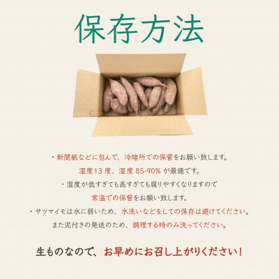 紅はるか 熟成生芋10kg 4Lサイズ 業務用