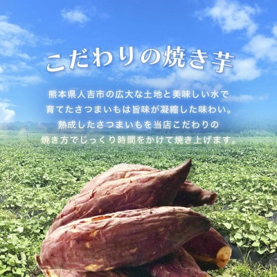熊本県人吉産 蜜焼き芋ペースト 約5kg(約1kg×5袋)