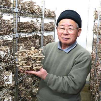 【訳あり】【栽培期間中農薬不使用】お試し 乾燥きくらげ 90g (30g×3P)【人吉スイコー】