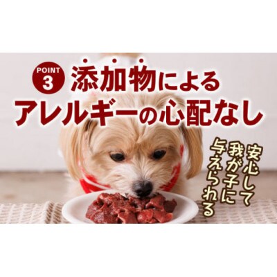 ペット用馬肉スライス 2kg(人吉市)