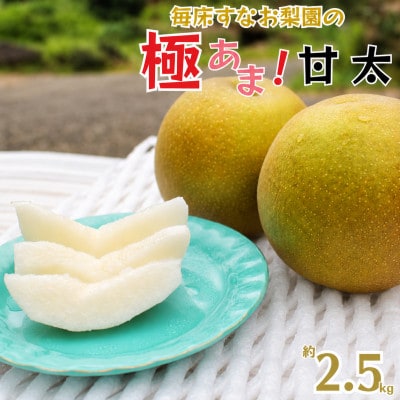【先行受付】 極あま!! 甘太(かんた) 梨 約2.5kg【毎床すなお梨園】