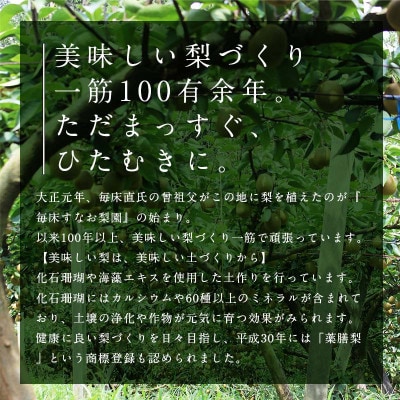 【先行受付】【訳あり】 マンゴー梨 (王秋梨)4.0kg 【毎床すなお梨園】