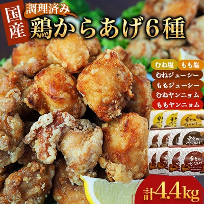 【幸せのからあげ】ブラックセット 調理済 4.4kg(人吉市)