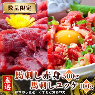 熊本産馬肉赤身500gとユッケ100g、小袋醤油と生姜各10袋、ユッケたれ付(人吉市)