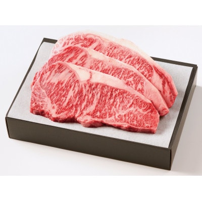 くまもとあか牛 サーロインステーキ 約500g(250g×2)(人吉市)