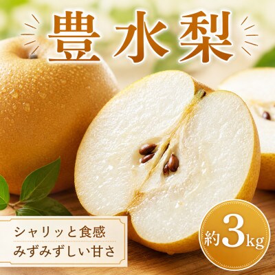 豊水梨 約3kg(人吉市)