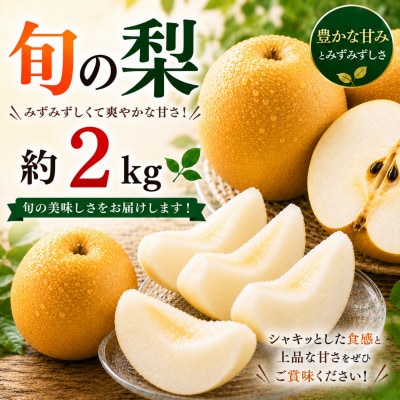 旬の梨 約2kg(人吉市)