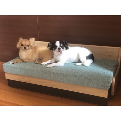 ドロシー ペット ソファ・ベッド ナチュラル×ブルー