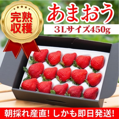 【完熟即配】完熟あまおう 3Lサイズ 450g [ギフト専門農家直送!]