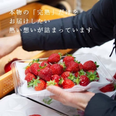 【完熟即配】完熟あまおう サイズお任せ1kg [ギフト専門農家直送!]