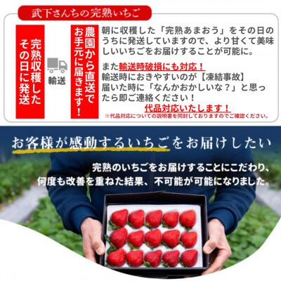 【完熟即配】完熟あまおう 大玉詰合せ900g [ギフト専門農家直送!]