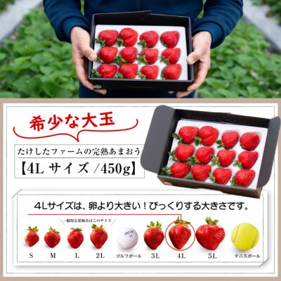 【完熟即配】完熟あまおう 1粒40g超!4Lサイズ 450g [ギフト専門農家直送!]