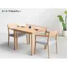 3点ダイニングセット DT03 ウレタン DC02 アネルカグレー オーク