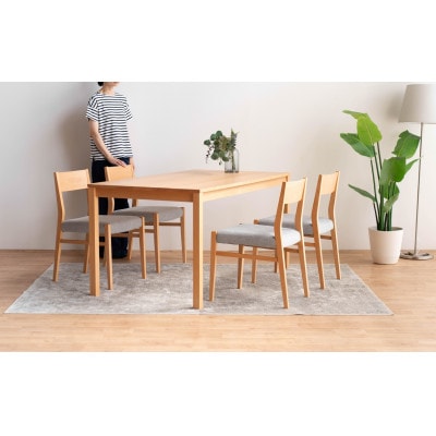 DT01 DC01 5点 150 ダイニングセット ビーチクリア アネルカグレー テーブル 椅子