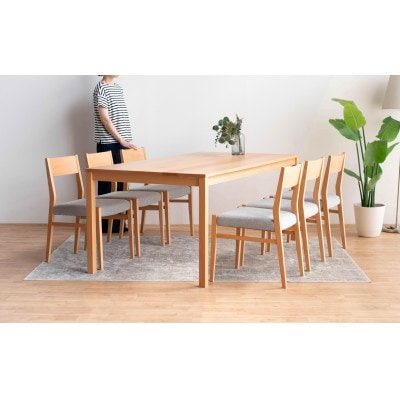 DT01 DC01 7点 180 ダイニングセット ビーチクリア アネルカグレー テーブル 椅子