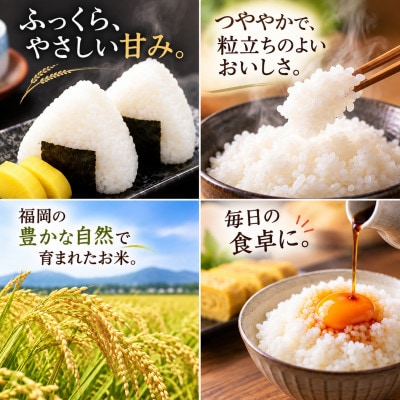 令和8年産 元気つくし2kg(大川市)