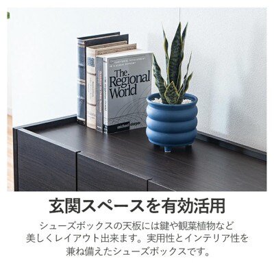 シューズボックス 120 ロータイプ　ダークブラウン