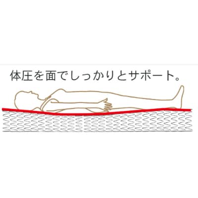 ダブルマットレス　グランジーナ　IV色　ボンネルコイル(21cm厚)【株式会社グランツ】