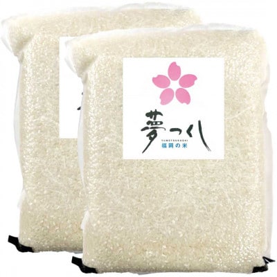 夢つくし【真空パック】白米　4kg(2kg×2袋)(大川市)