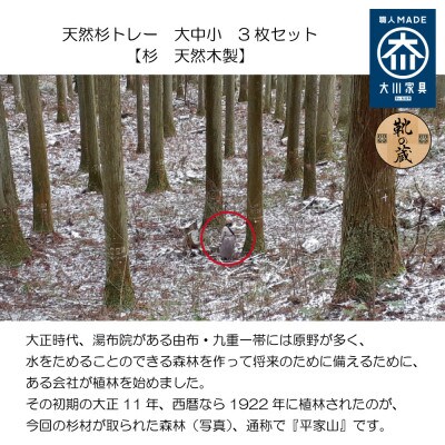 【大川家具】天然杉トレー 大中小3枚セット