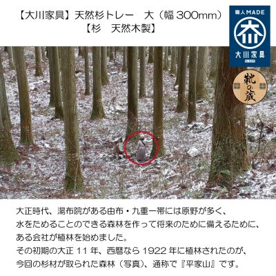 【大川家具】天然杉トレー 大(幅300mm)