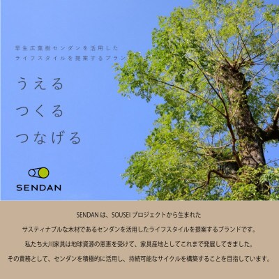 【大川家具】【組立設置込】無垢材 フリーシェルフ 2段 高さ80.0×幅92.0×奥行36.6cm