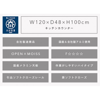 エデン 幅120cm 炊飯器、レンジが置ける万能キッチンカウンター 自社製アルミ使用