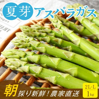 【朝採り直送】2024年福岡県産 旬の夏芽アスパラガス 1kg(2L-Lサイズ)