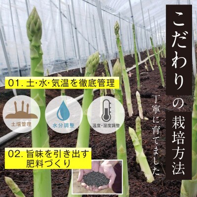 【朝採り直送】福岡県産 旬の春芽アスパラガス 1kg(2L-Lサイズ)