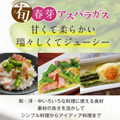 【朝採り直送】福岡県産 旬の春芽アスパラガス 1kg(2L-Lサイズ)